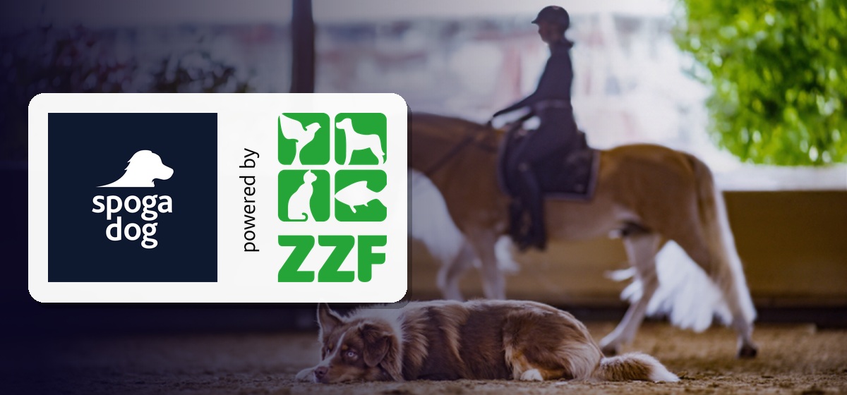 spoga dog powered by ZZF 2027