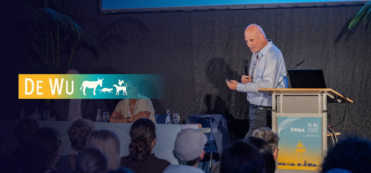 DEWU Deutscher Wundkongress & Bremer Pflegekongress 2027