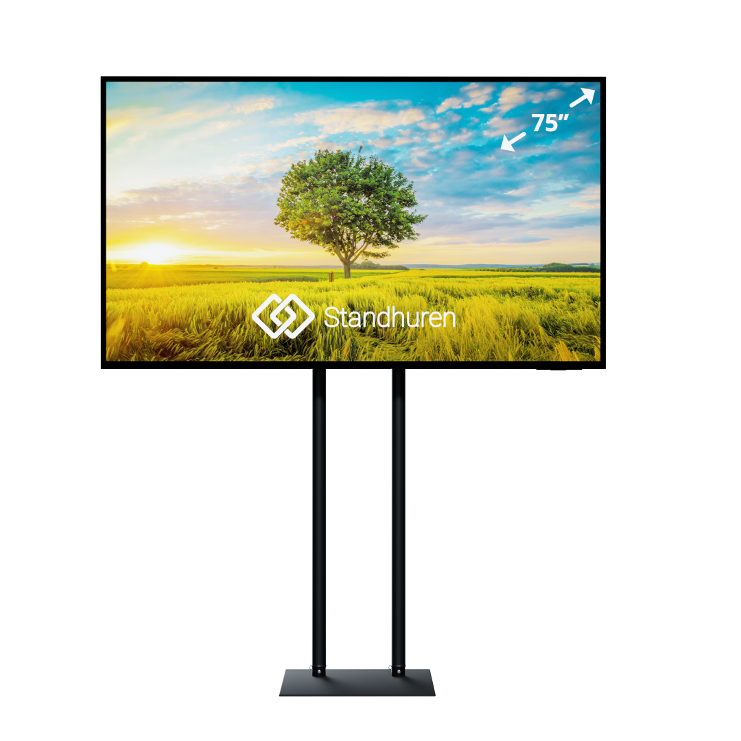 75" scherm op statief